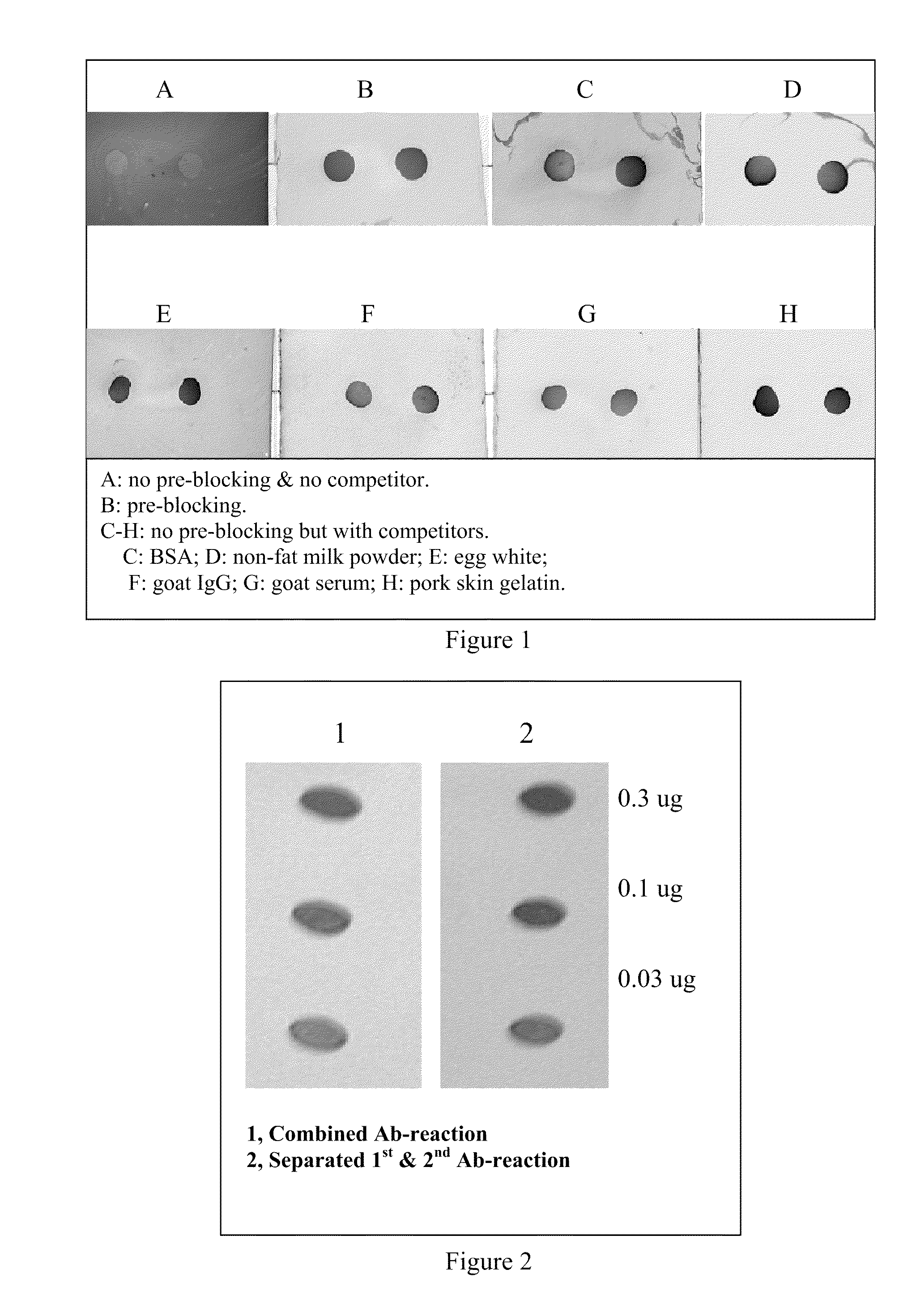 Reagents, Methods and Kits for the Universal Rapid Immuno-Detection