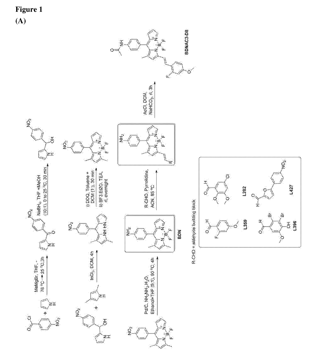 Chemical fluorescent probes for detecting biofilms