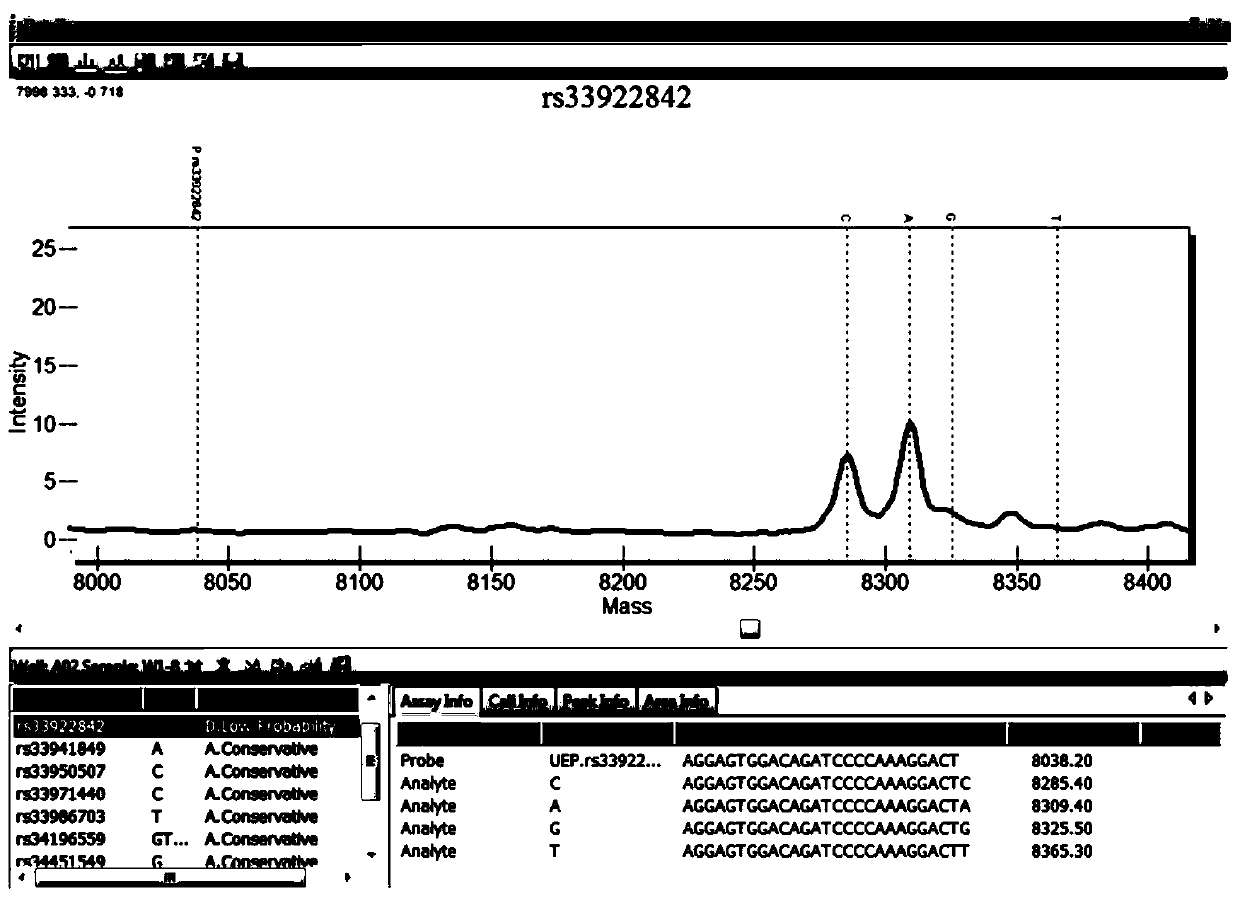 Primer set and kit for detecting beta thalassemia