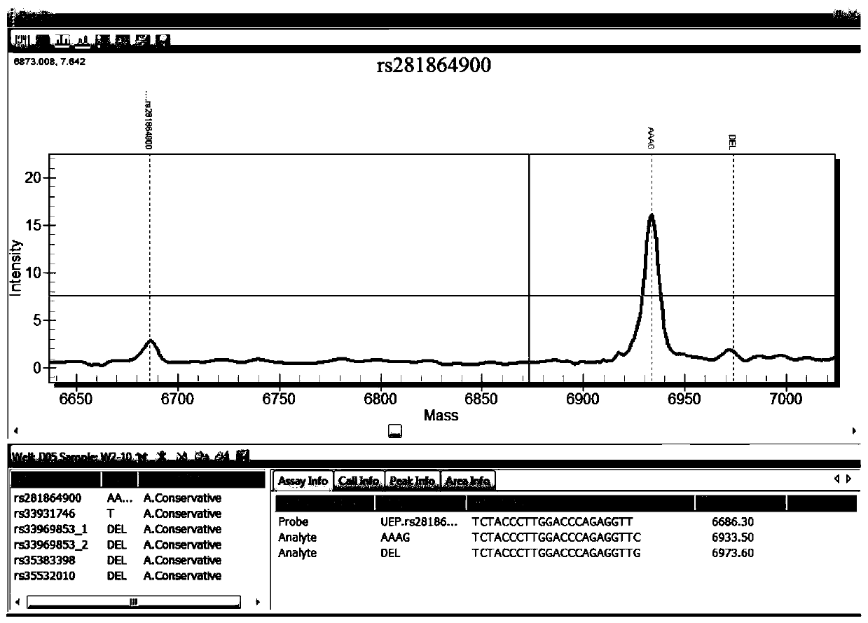 Primer set and kit for detecting beta thalassemia