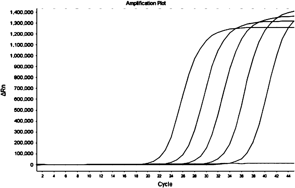 Nucleic acid, kit and method for simultaneous detection of yellow phytoplasma, canker pathogenic bacteria and leaf spot pathogenic bacteria