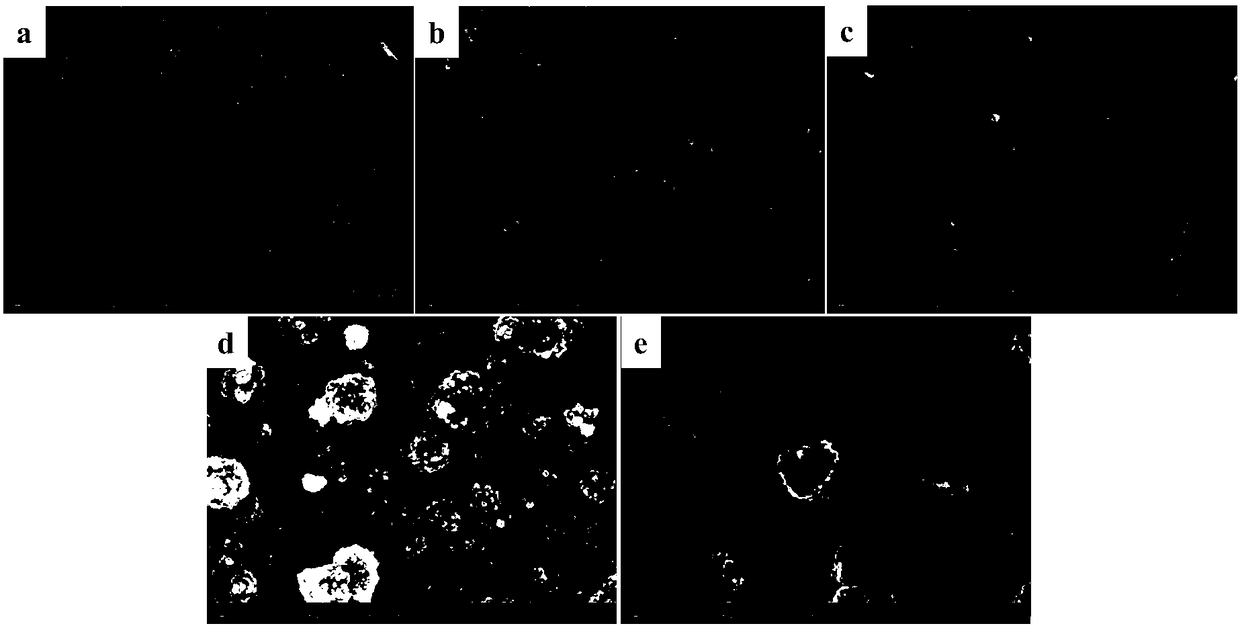 Conductive Cu/PDA/PVDF composite ultrafiltration membrane and preparation method thereof