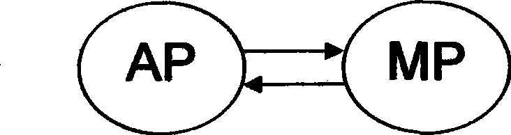 Integrated circuit structure special for specific application algorithm