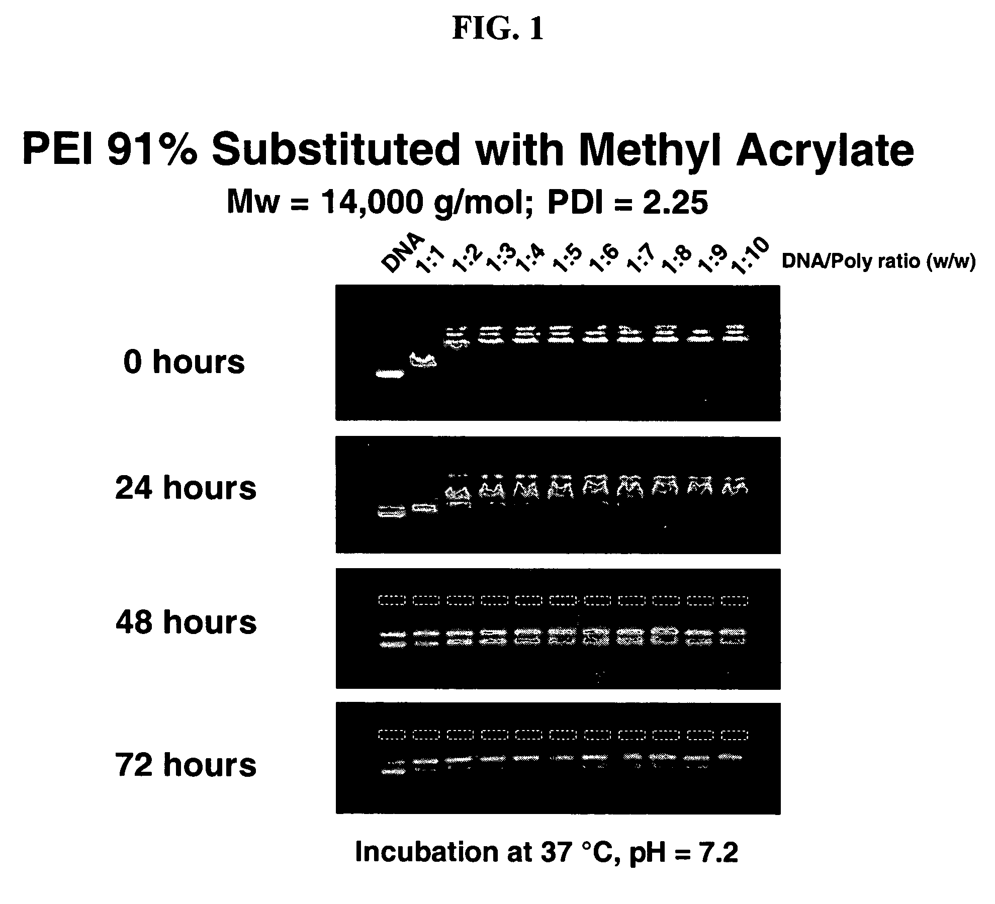 Charge-dynamic polymers and delivery of anionic compounds