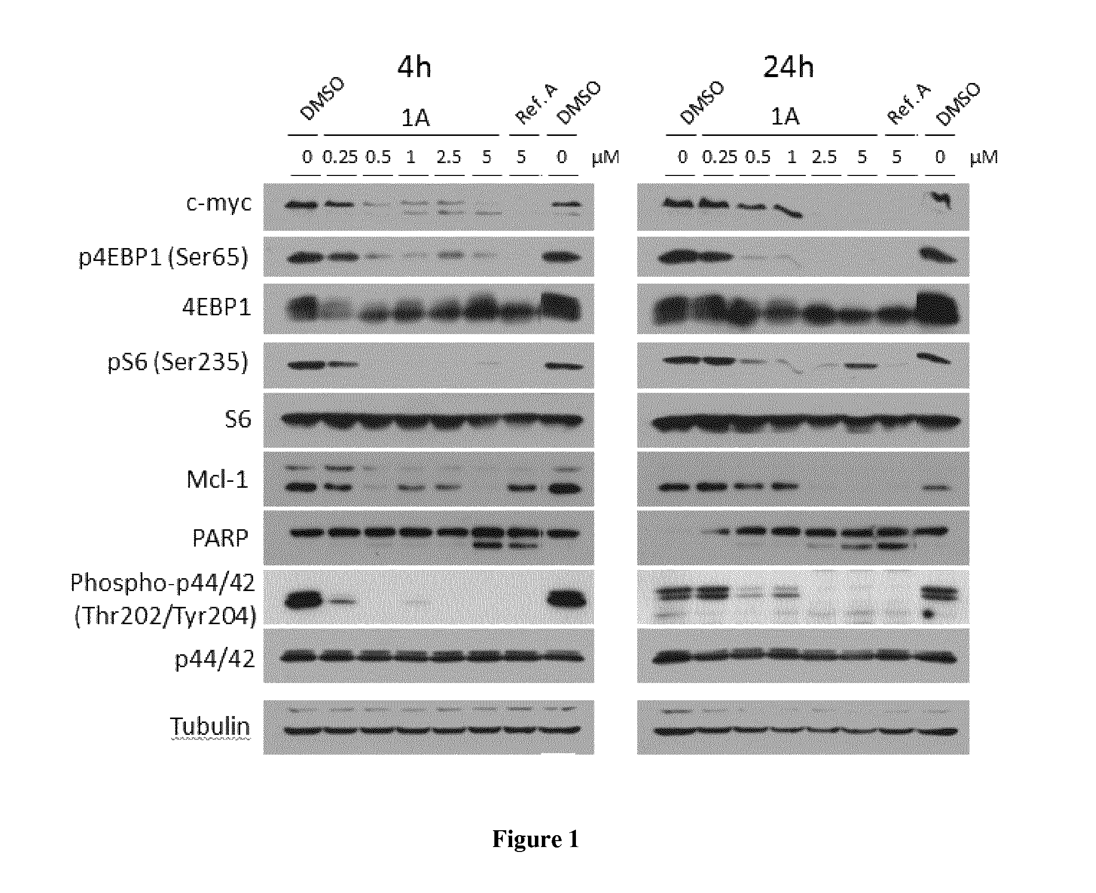 Benzimidazole derivatives as Kinase Inhibitors