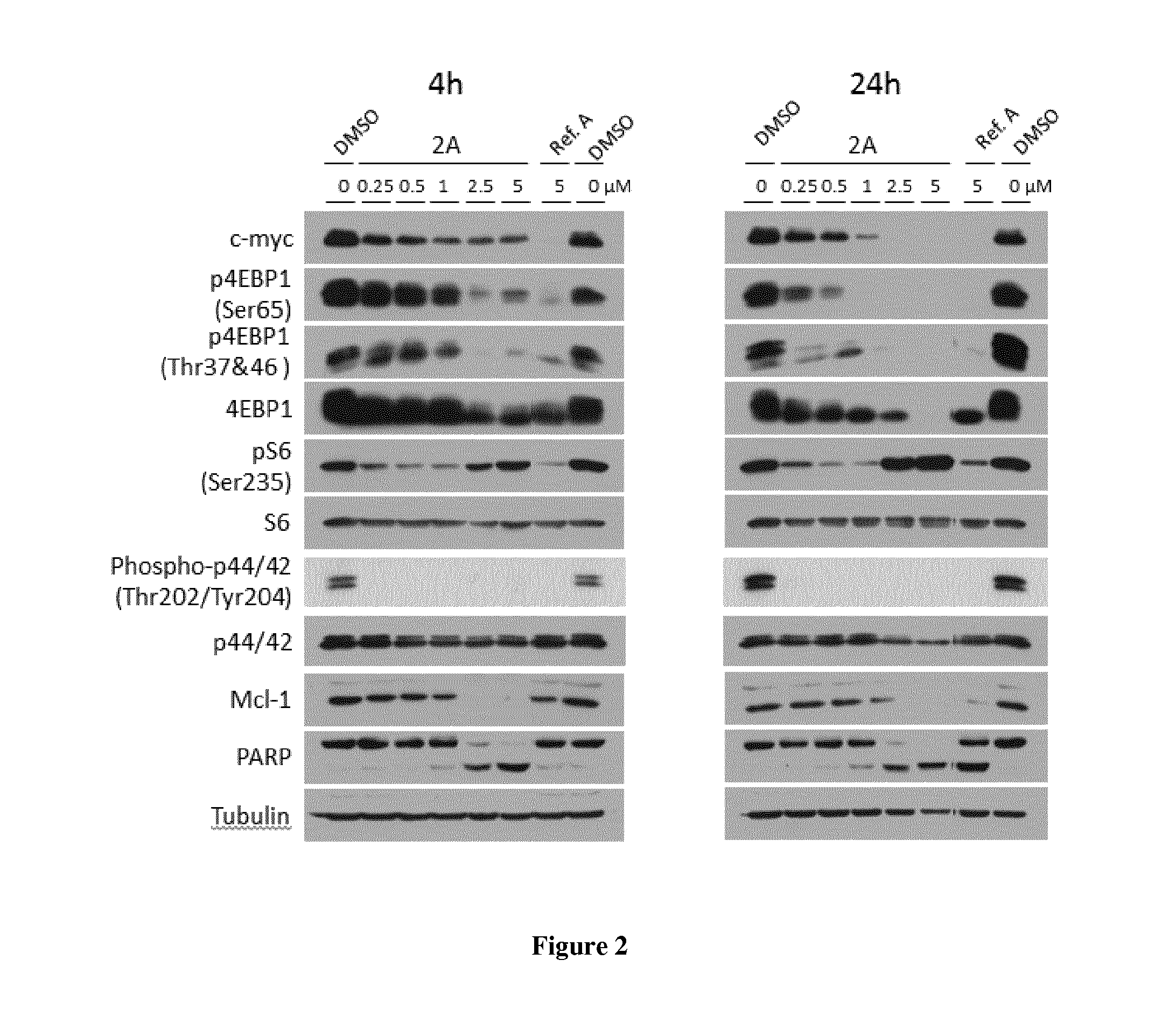 Benzimidazole derivatives as Kinase Inhibitors