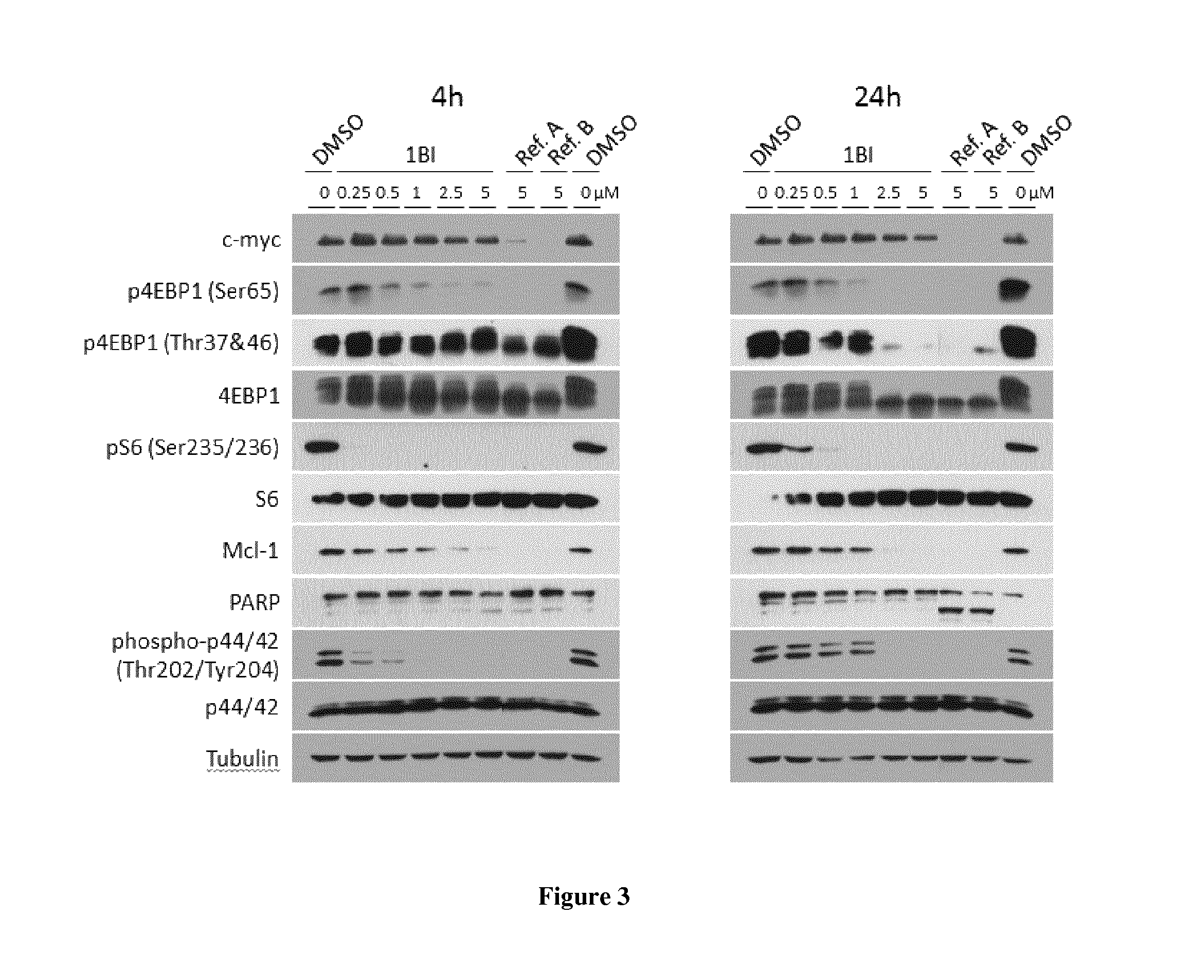 Benzimidazole derivatives as Kinase Inhibitors