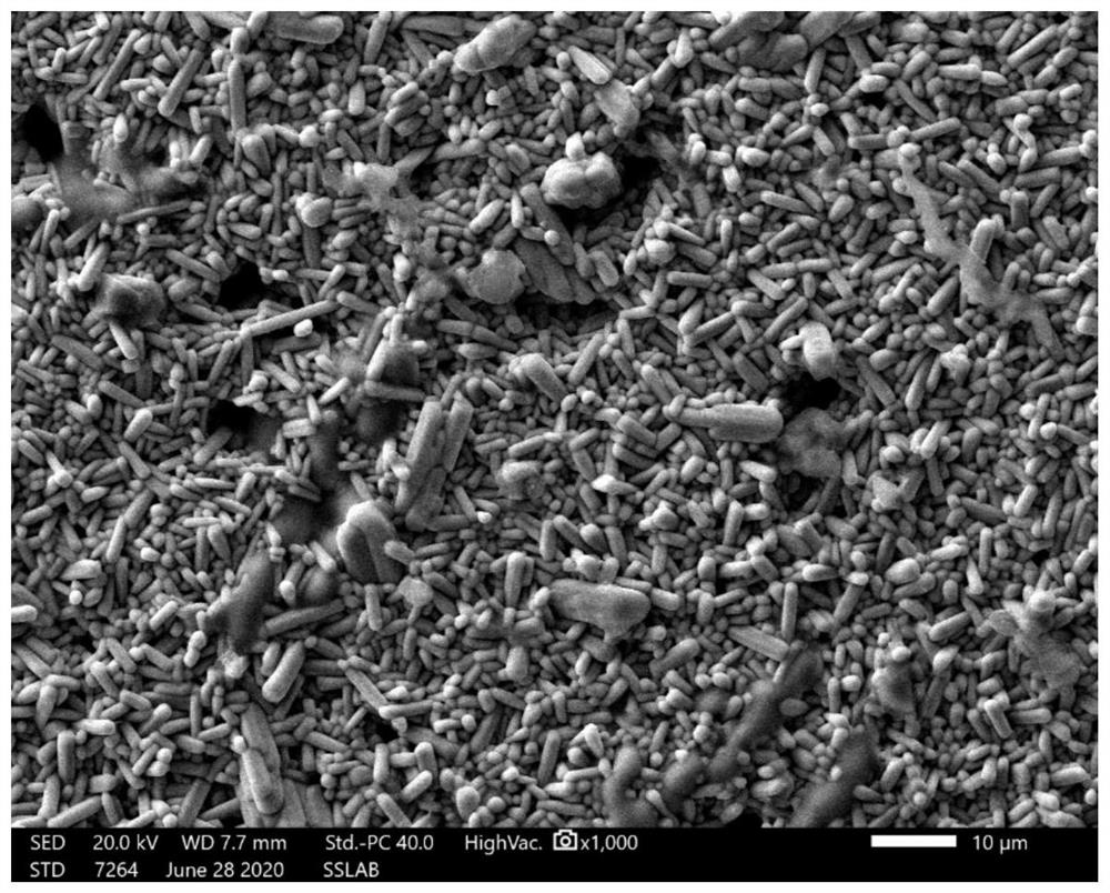 Reversible photochromic transparent ceramic as well as preparation method and application thereof