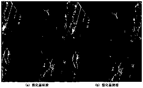 Ship target detecting and discriminating method in SAR image with complicated background