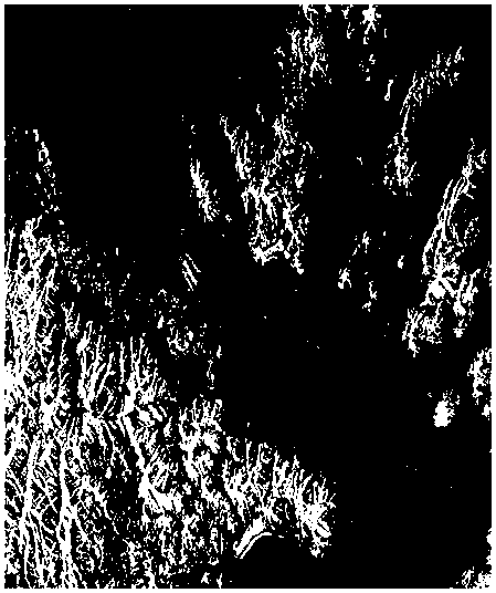 Ship target detecting and discriminating method in SAR image with complicated background