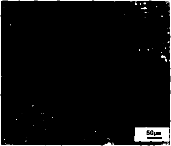 Special vermiculizer for non-magnetic vermicular graphite cast iron, and preparation technology thereof