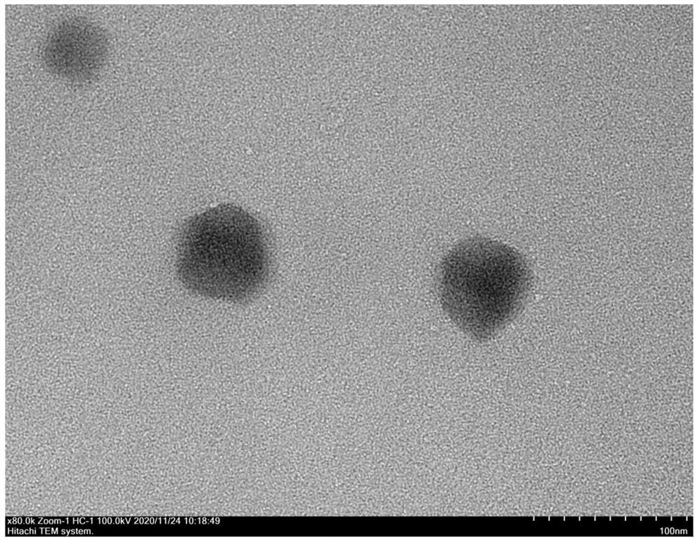 Sulfate reducing bacteria metabolism microenvironment response type composite coating and preparation method thereof