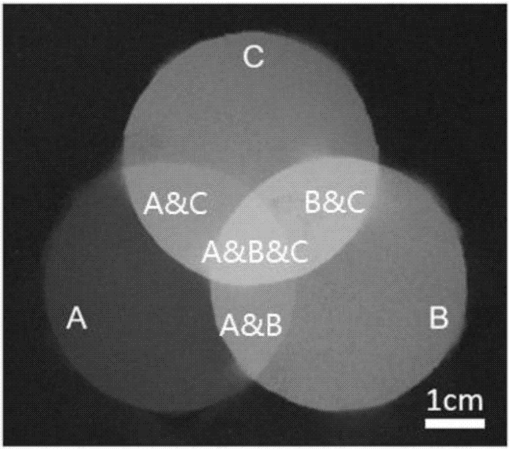 Preparation method of color-superposed color coating of amorphous structure