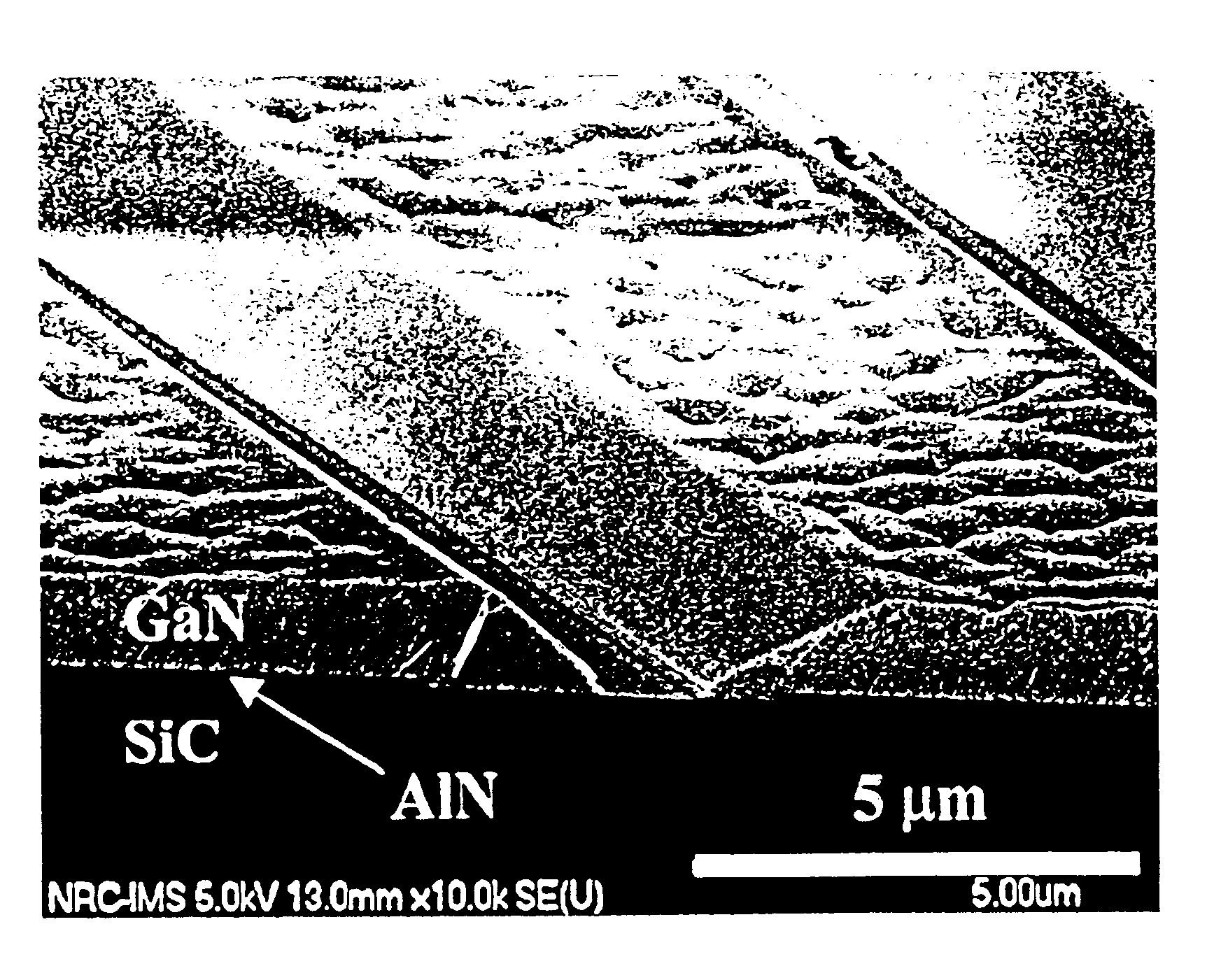 GaN selective growth on SiC substrates by ammonia-source MBE