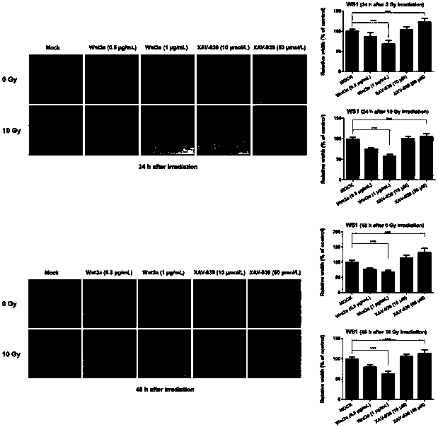 Radiation-induced skin injury control medicine