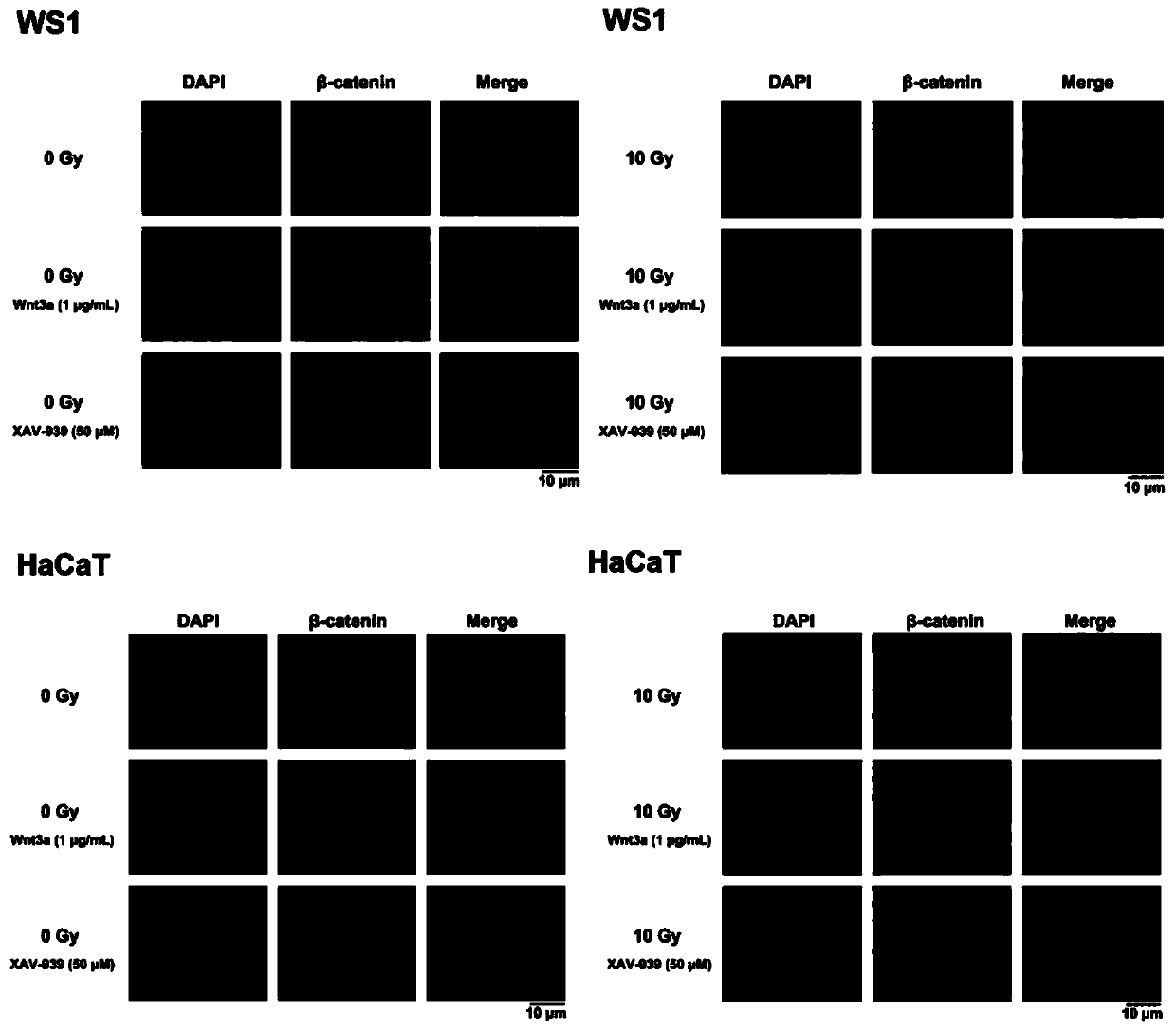 Radiation-induced skin injury control medicine