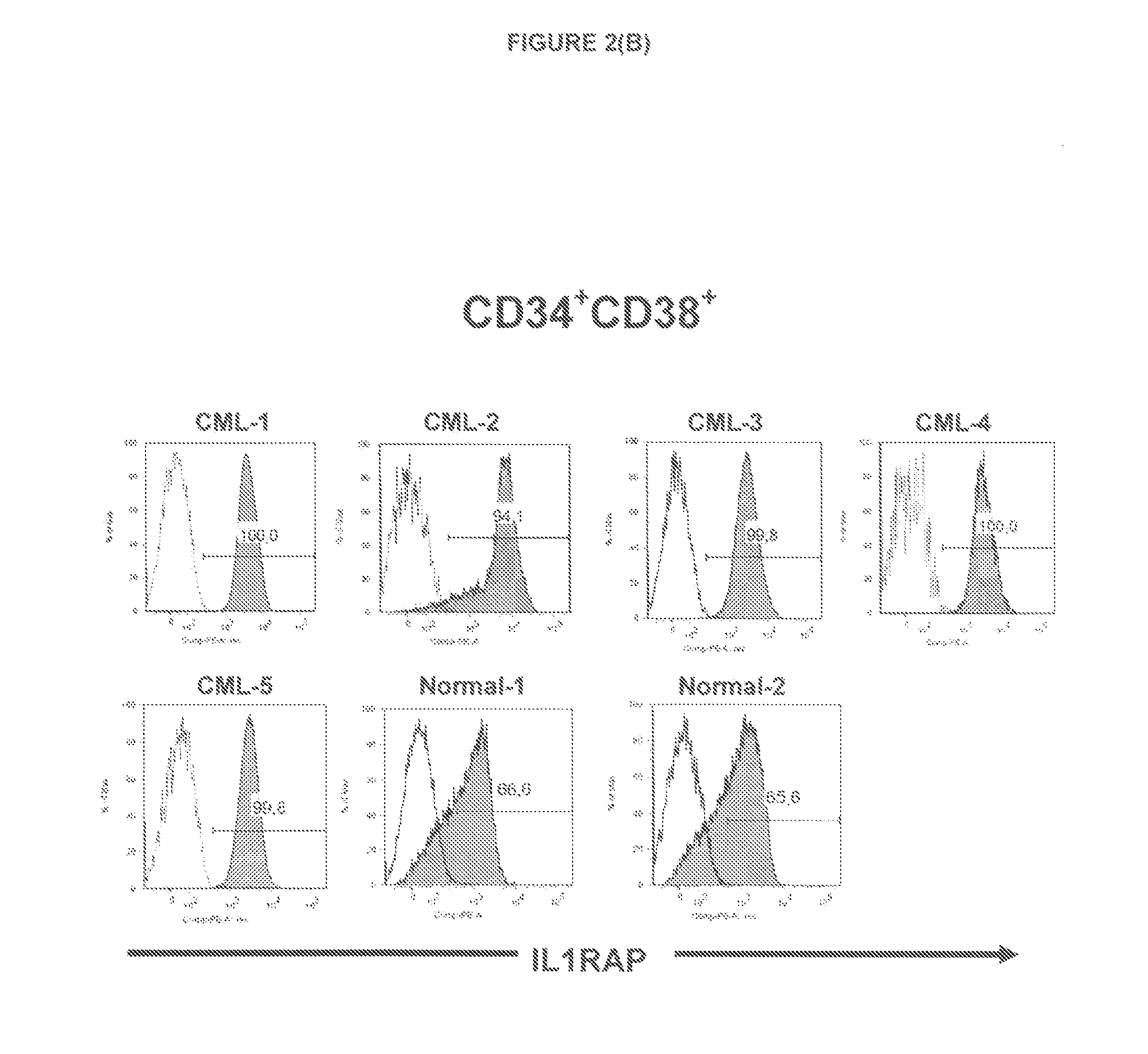 Anti-IL1RAP Antibodies and Their Use for Treating Human