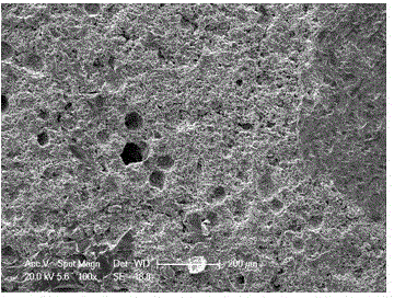 Corundum spinel castable with micro-nano pore structure and preparation method of corundum spinel castable