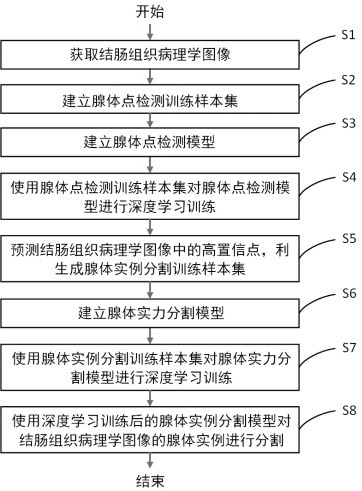 Weakly supervised gland instance segmentation method based on point labeling