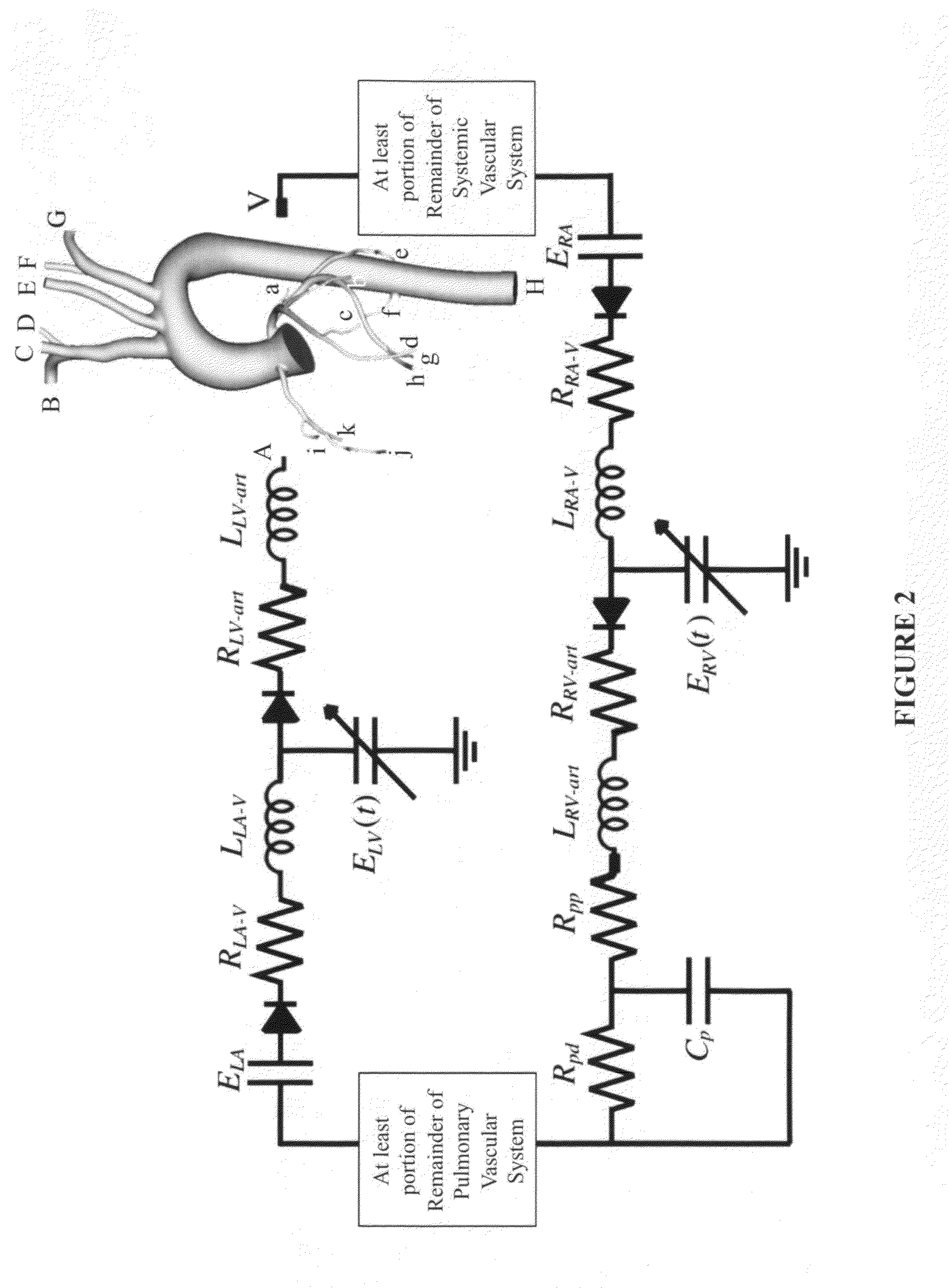 Patient-specific hemodynamics of the cardio vascular system