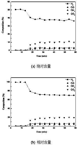 Preparation method and application of double-functional composite Co modified particle