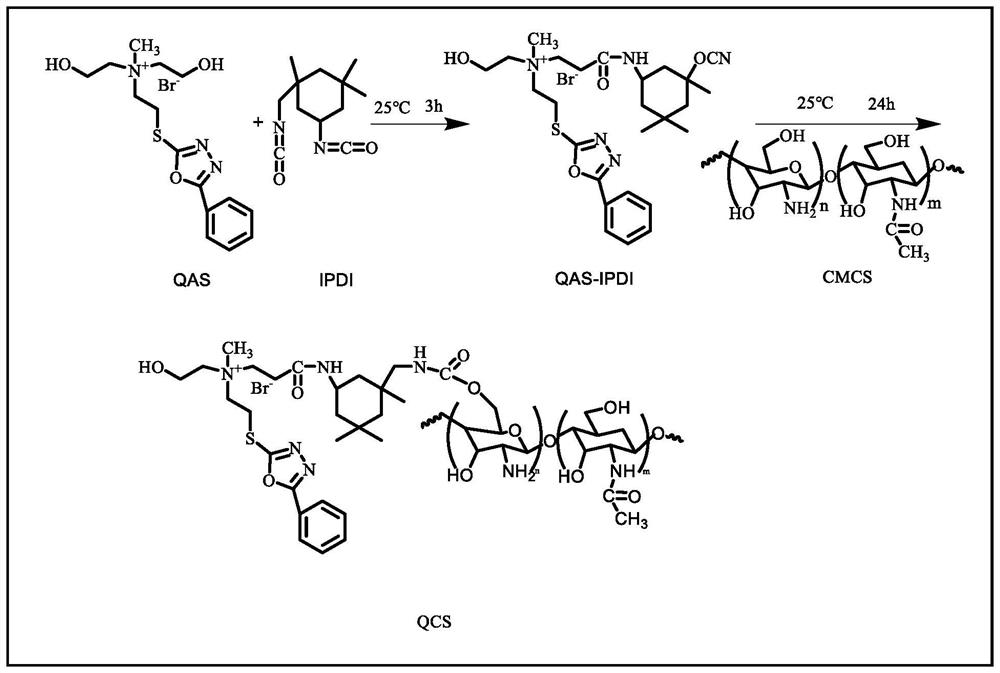 Preparation method and application of multifunctional antibacterial hydrogel dressing