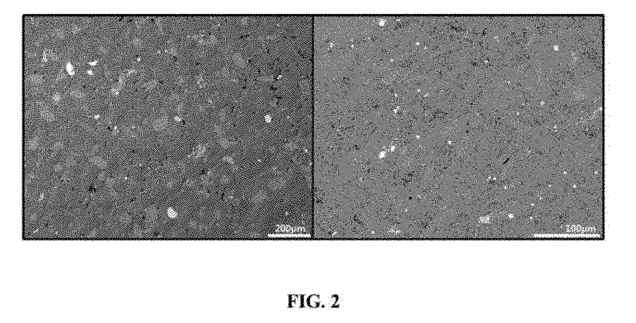 Method for porosity measurement using sem images of rock samples reacted with a gadolinium compound