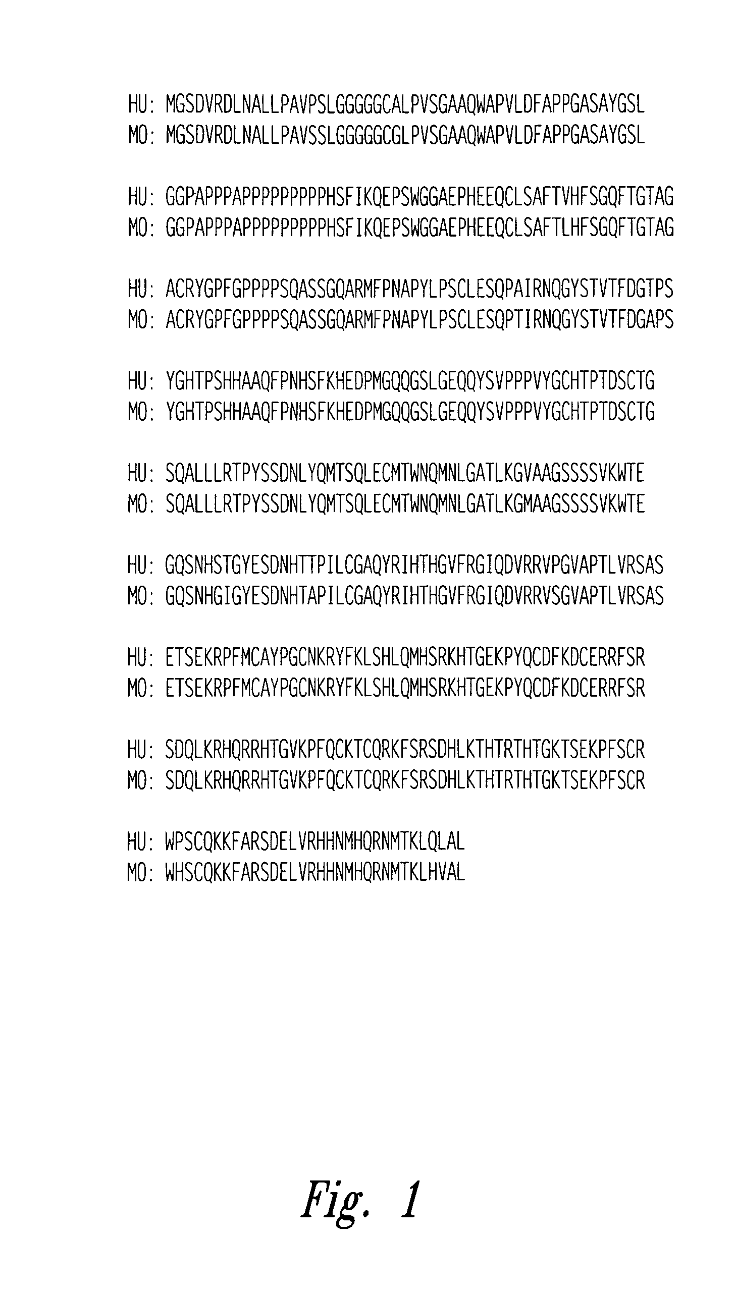 Compositions and methods for WT1 specific immunotherapy