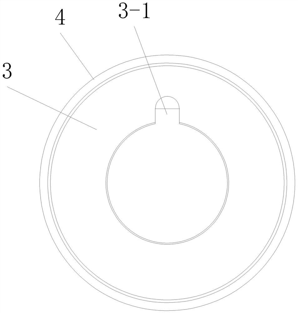 Ceramic bearing structure for rotor shaft and water-lubricated screw compressor