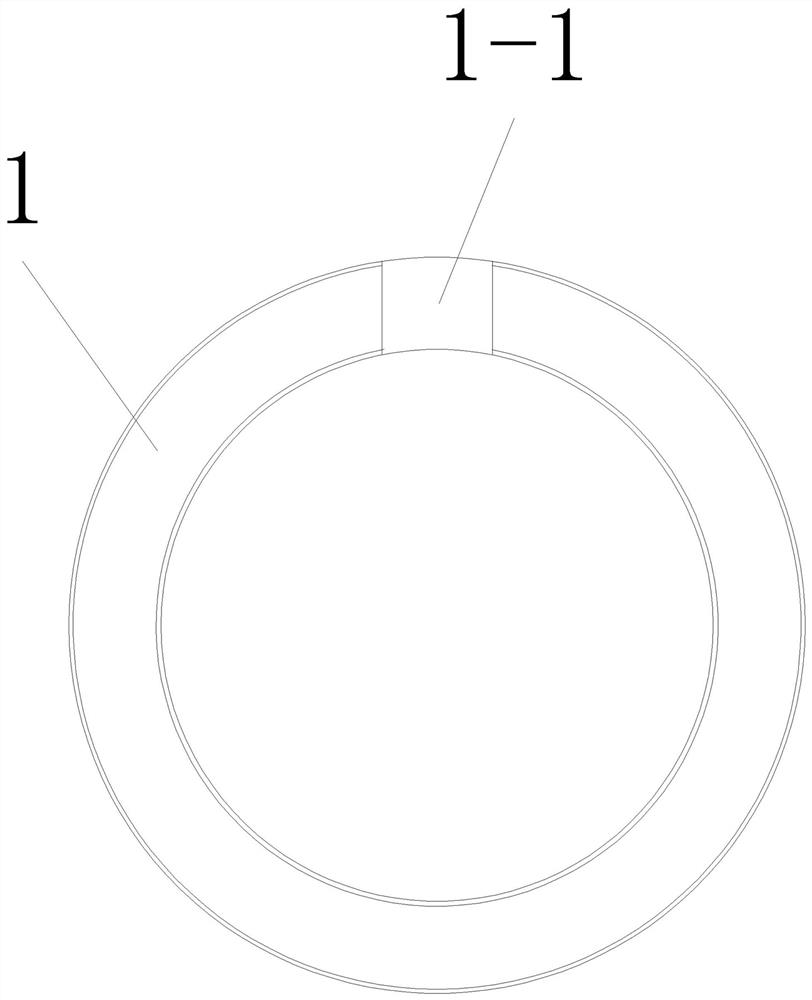 Ceramic bearing structure for rotor shaft and water-lubricated screw compressor