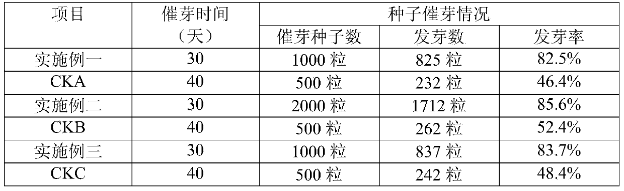 Areca nut seed germination accelerating method