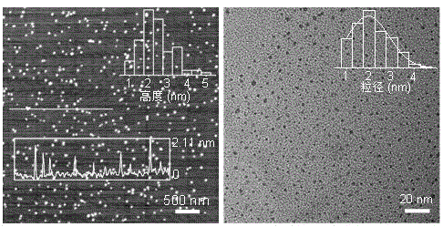 Method for extracting graphene quantum dots from coffee-ground solid waste