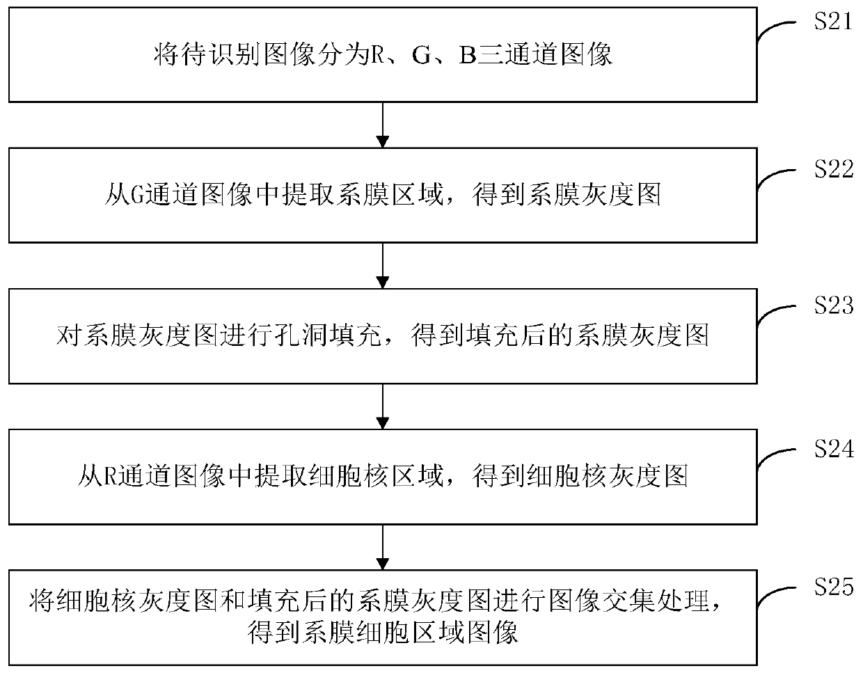 Mesangial cell image processing method and device, computer equipment and storage medium