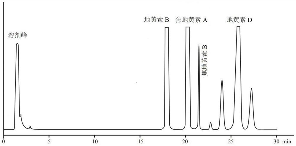 A kind of rehmannia glutinosa extract, its preparation method and its application in promoting the proliferation of cik cells in vitro