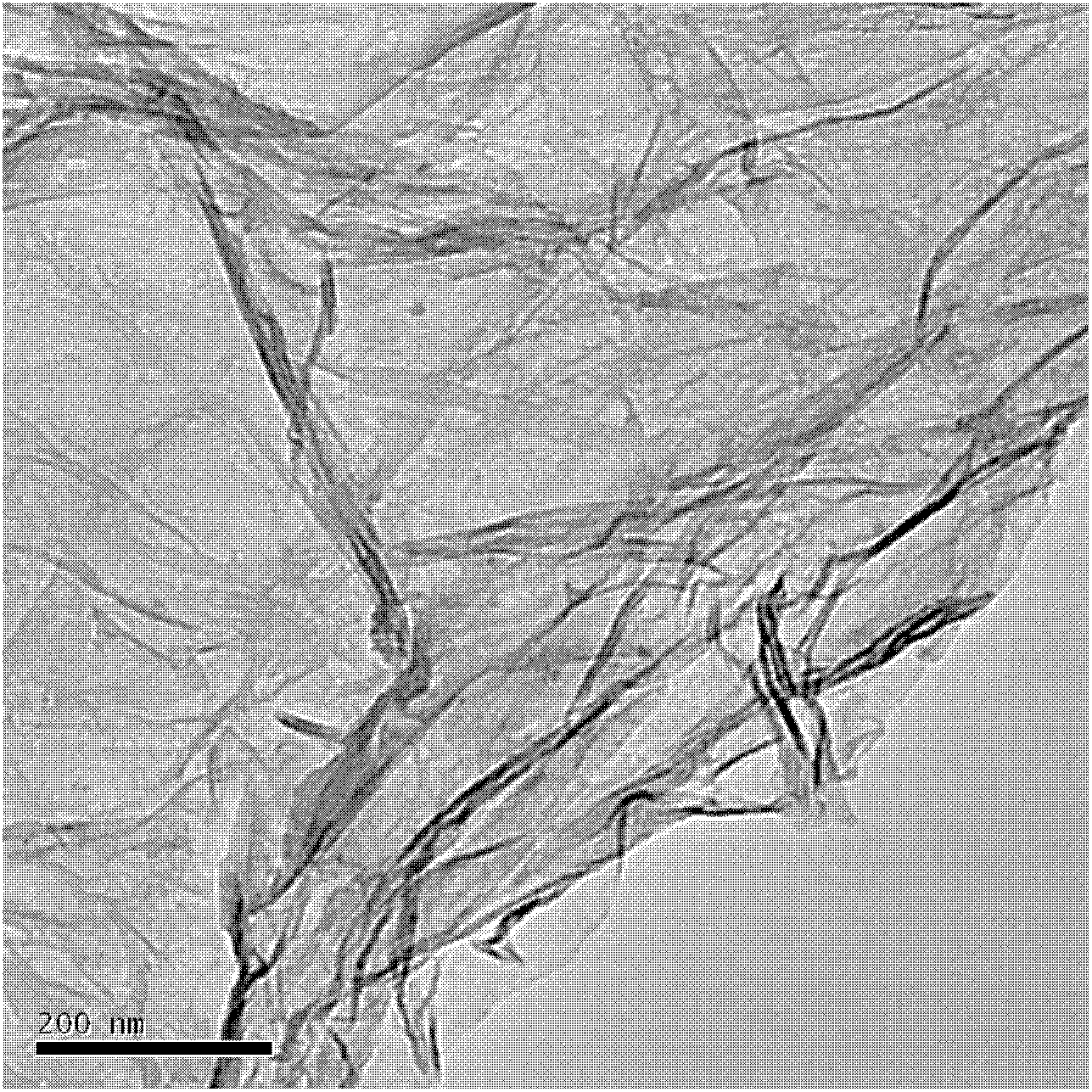 Preparation method of graphene