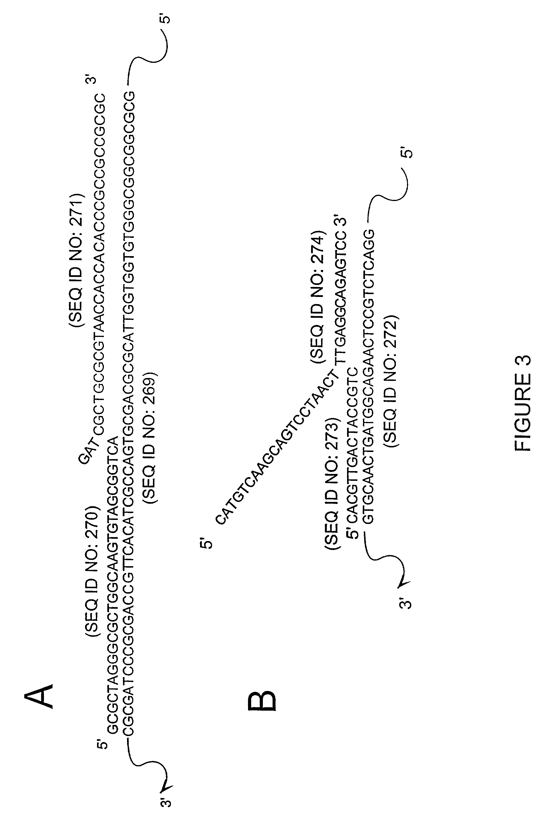 Enzymes for the detection of nucleic acid sequences