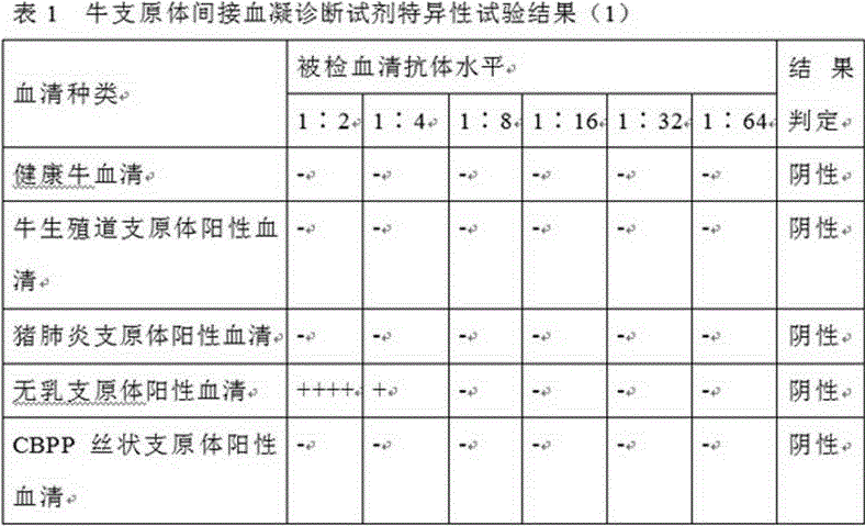 A kind of Mycoplasma bovis antibody detection reagent and preparation method thereof