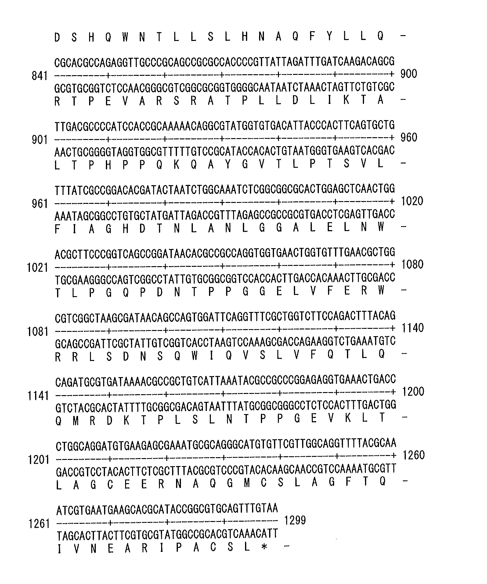 Thermotolerant non-k12 escherichia coli phytase and its production