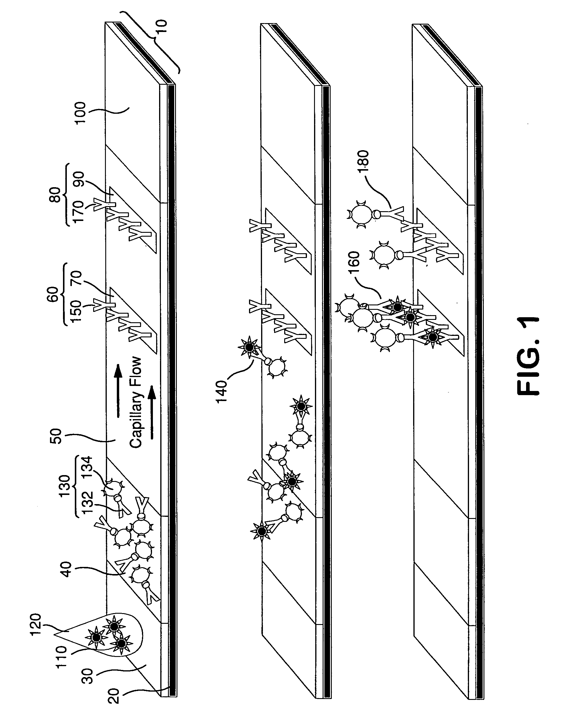 Diagnostic assays including multiplexed lateral flow immunoassays with quantum dots