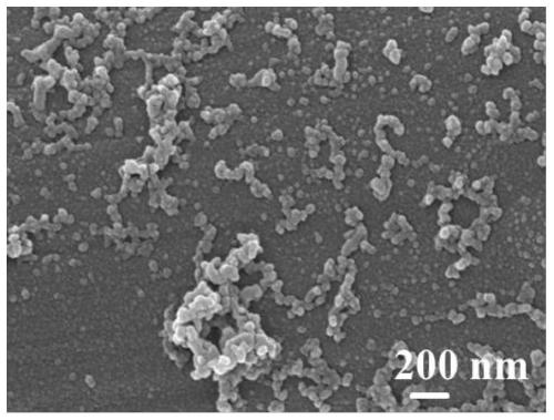 Polyaniline-gold composite material, and preparation and application thereof