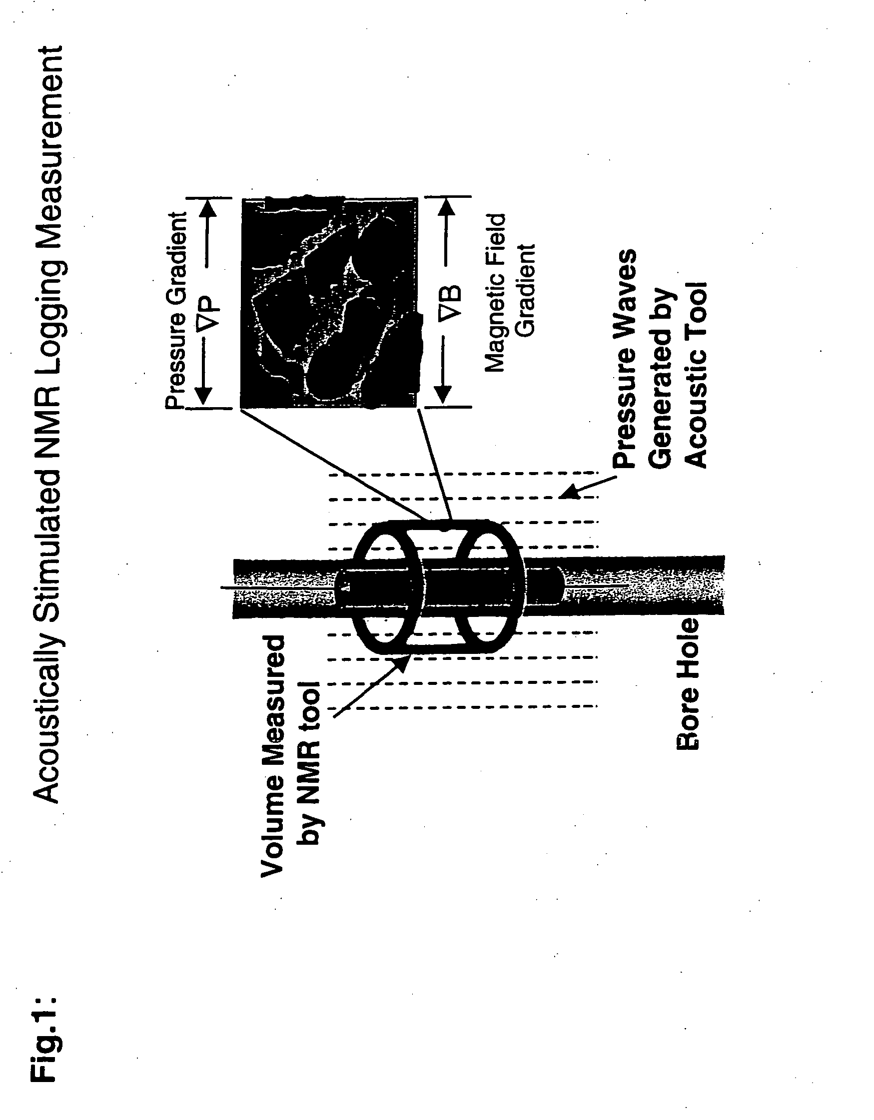 Fluid flow properties from acoustically stimulated NMR