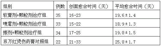 Medicine used for nursing and treating qi-blood deficiency burn and preparing method thereof