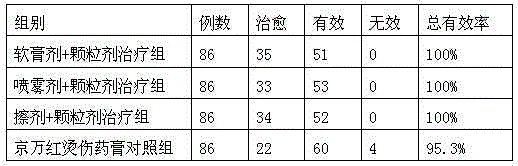 Medicine used for nursing and treating qi-blood deficiency burn and preparing method thereof