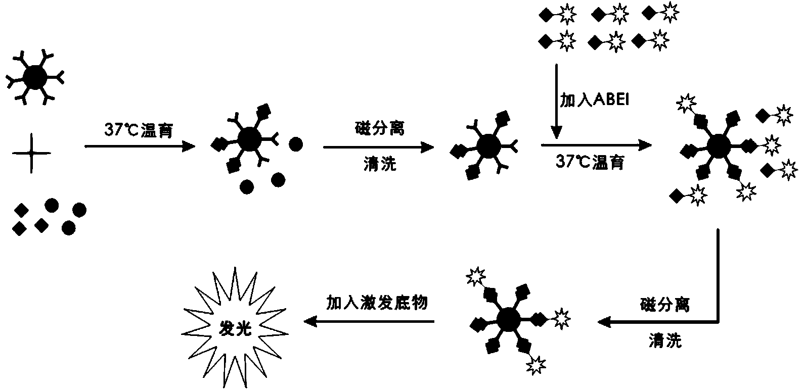 Detection reagent for detecting 25-hydroxy vitamin D, as well as preparation method and application of detection reagent