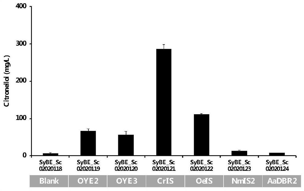 Yeast genetically engineered strain for high yield of citronellol as well as construction method and fermentation method of yeast genetically engineered strain