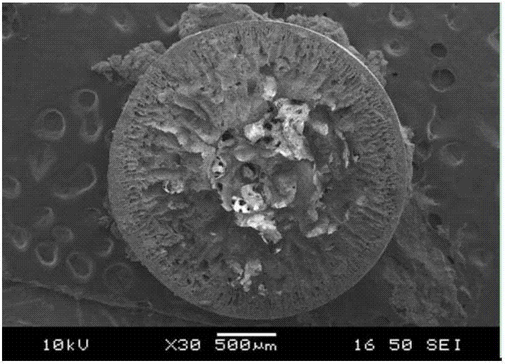 Preparation method of hollow nanometer hydrous zirconium oxide loaded millimeter-level polymer sphere