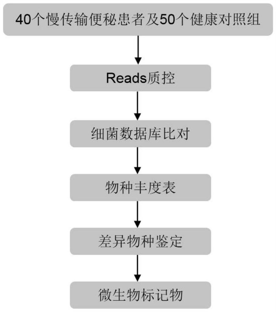 Slow-transit constipation marking microorganism and application thereof