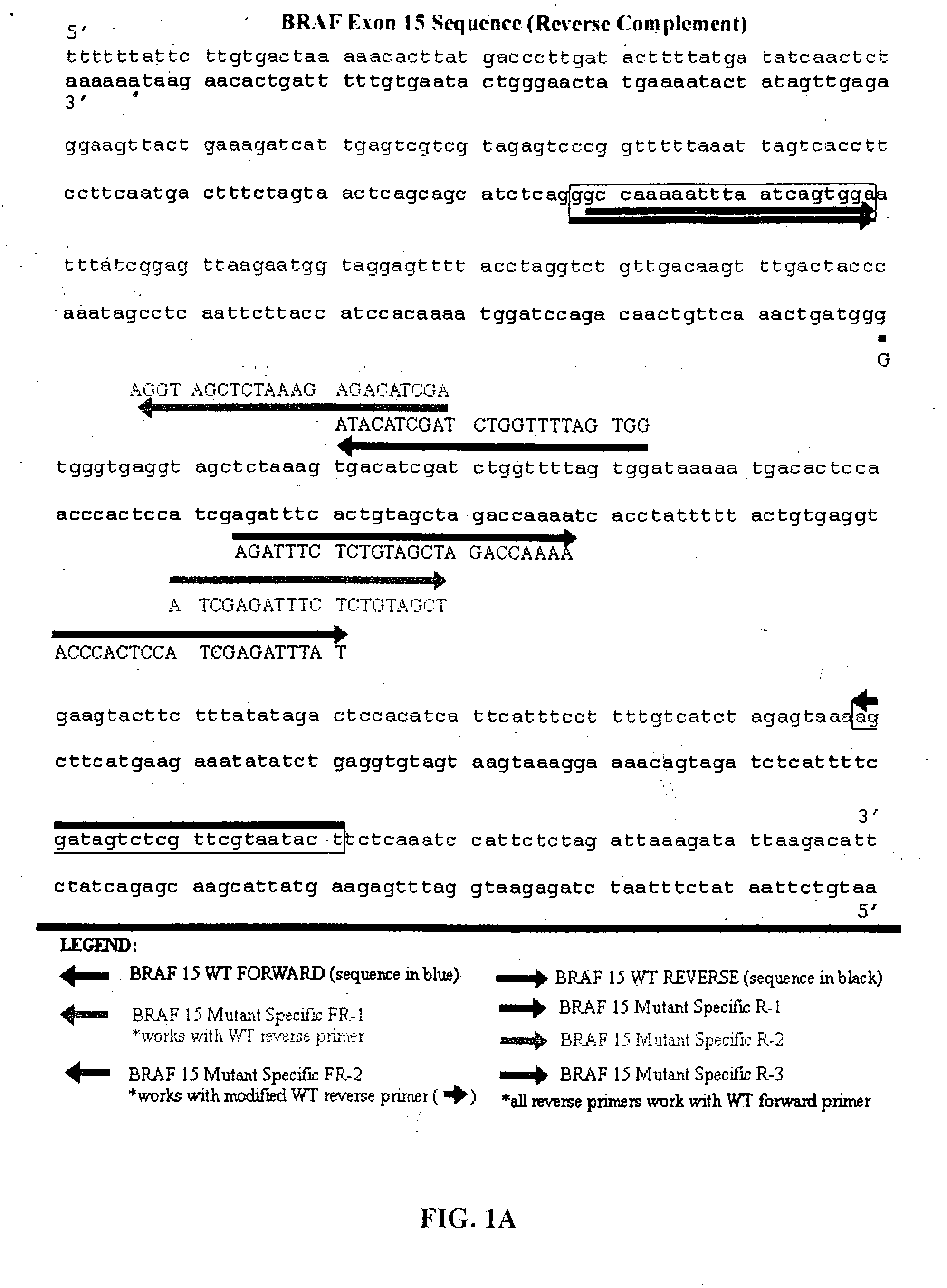 Methods for detecting circulating mutant BRAF DNA