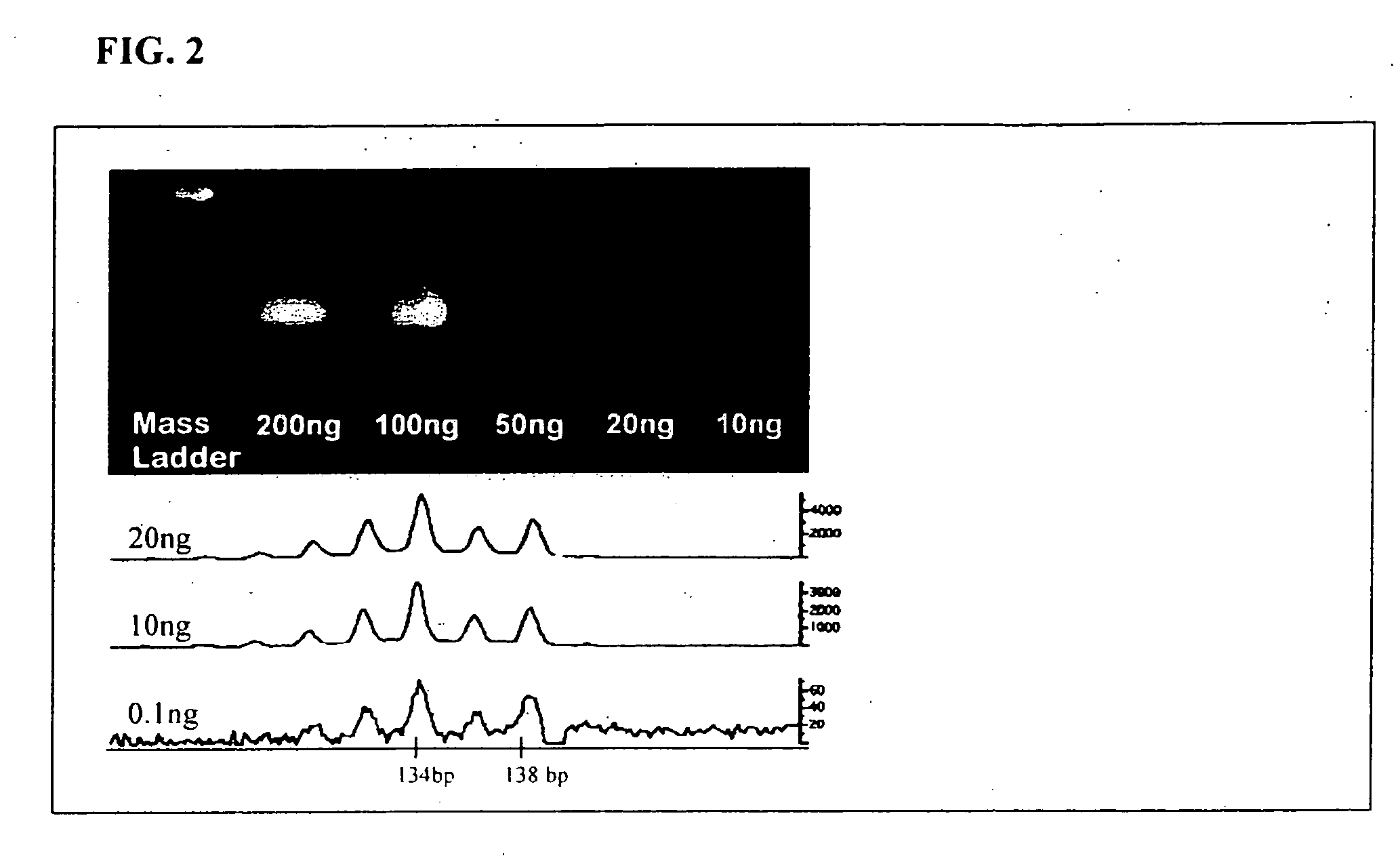 Methods for detecting circulating mutant BRAF DNA