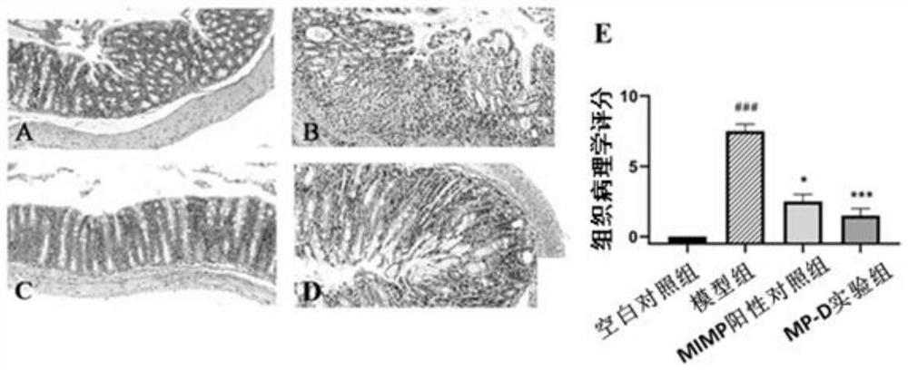 Polypeptide fragment D and application thereof